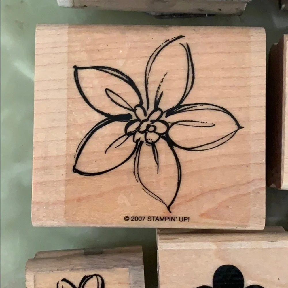 Stamp in’ Up! Clean/used rubber block stamp set